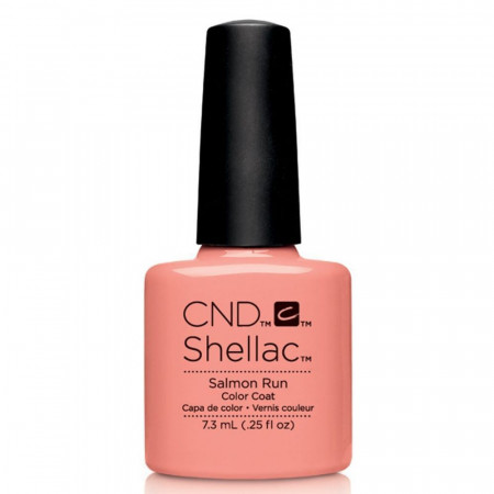 Shellac Salmon Run