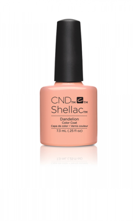 Shellac Dandelion