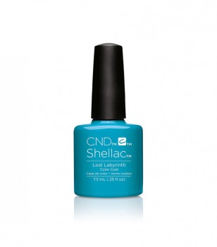 Shellac Lost Labyrinth