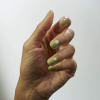 Shellac Plantbound