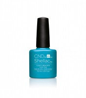 Shellac Lost labyrinth